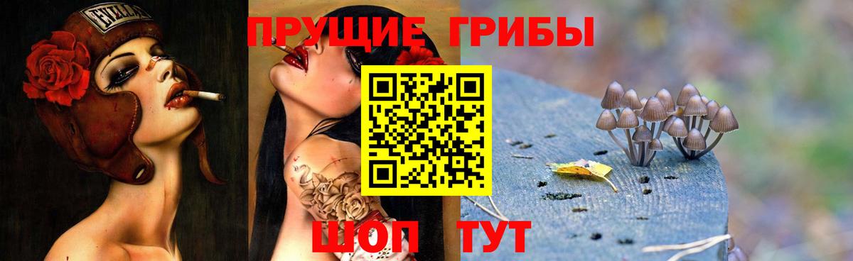 Псилоцибиновые грибы прущие грибы Саранск